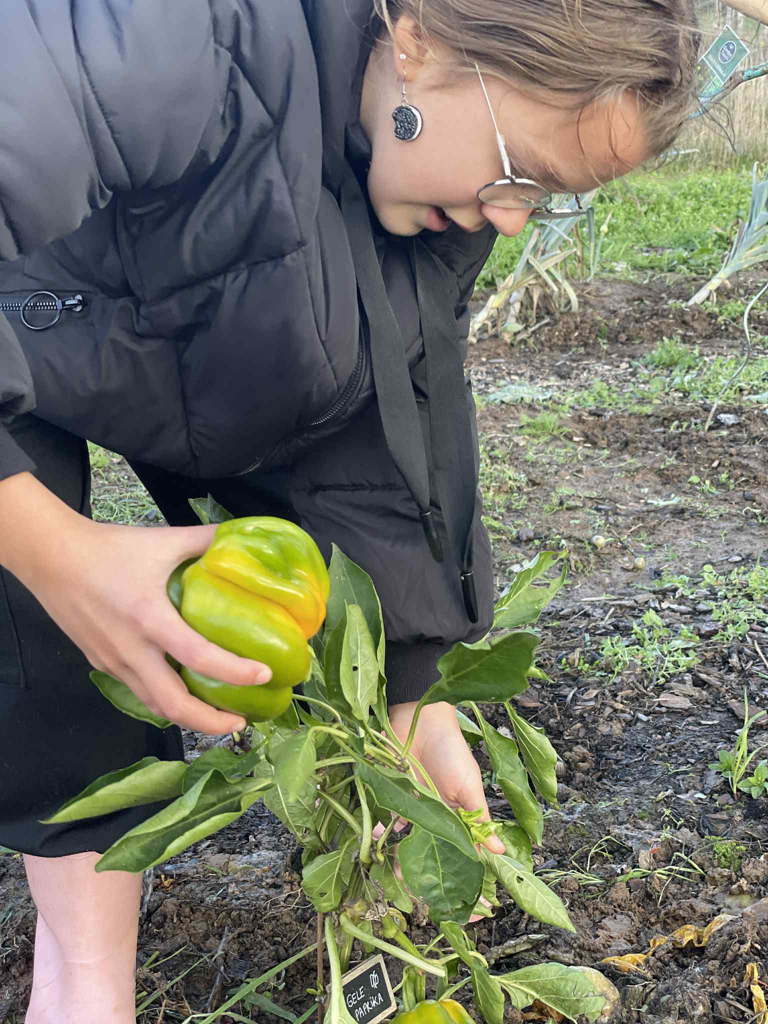 Geen fotobeschrijving beschikbaar.
