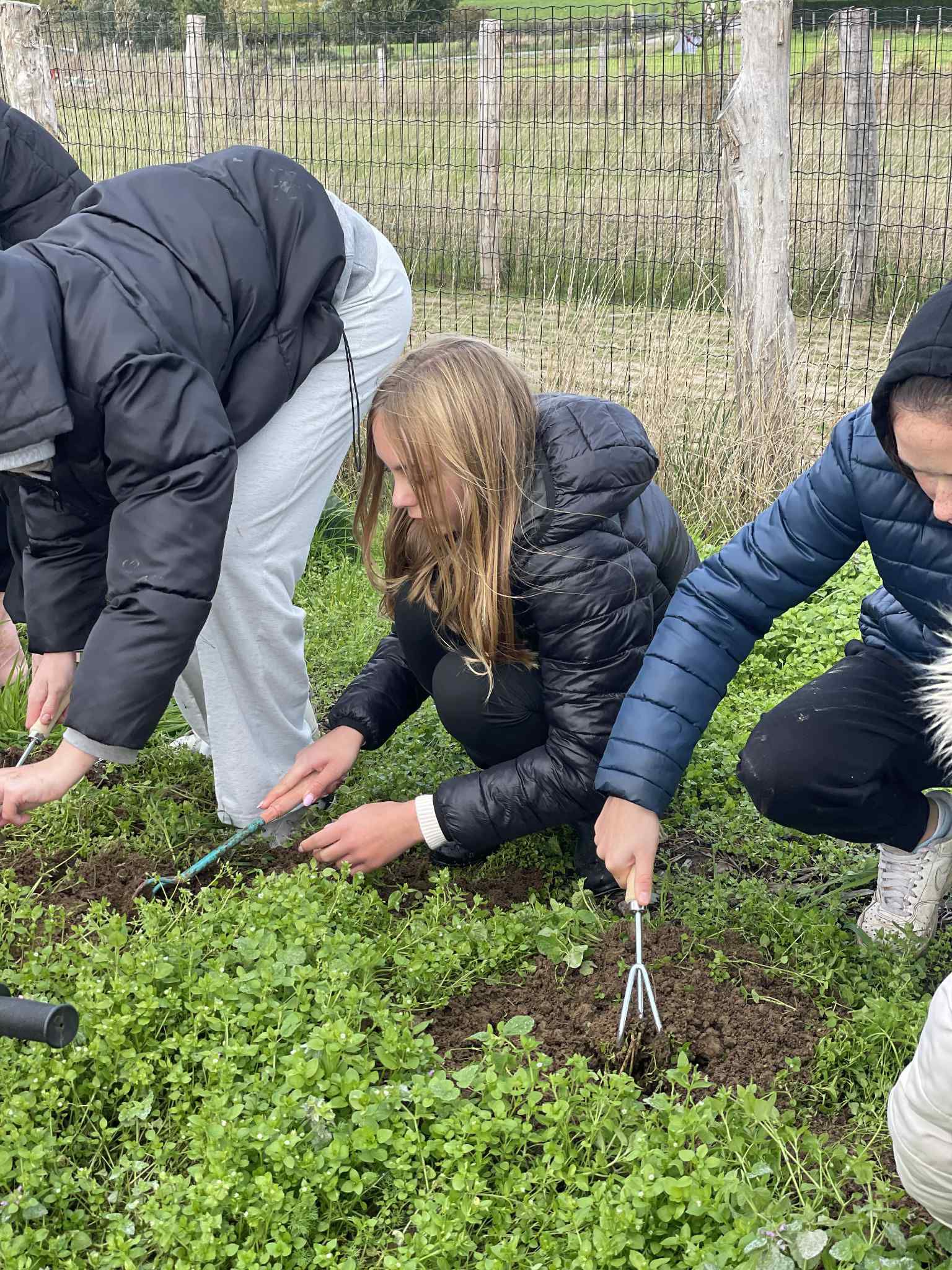Geen fotobeschrijving beschikbaar.