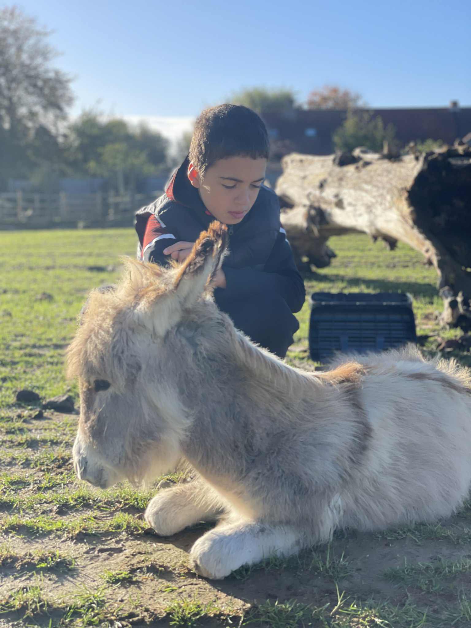 Geen fotobeschrijving beschikbaar.
