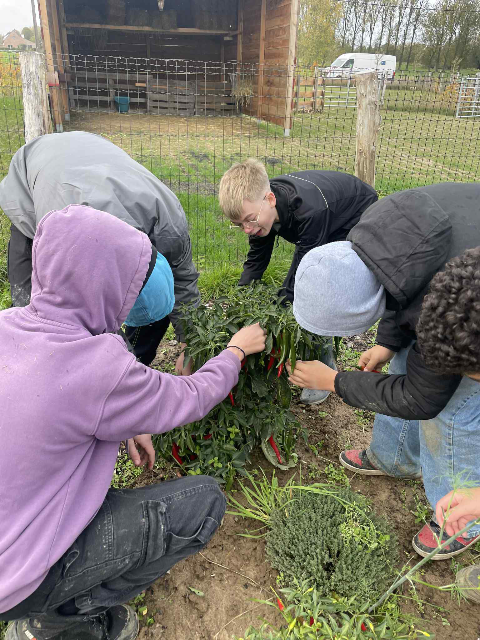 Geen fotobeschrijving beschikbaar.
