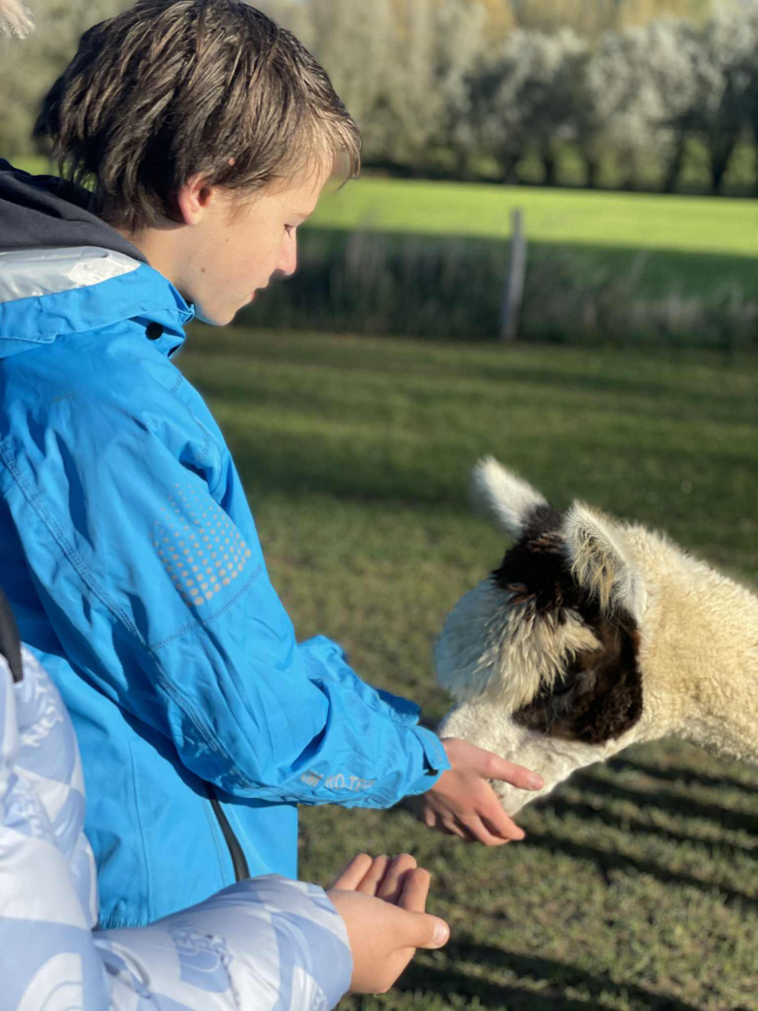Geen fotobeschrijving beschikbaar.