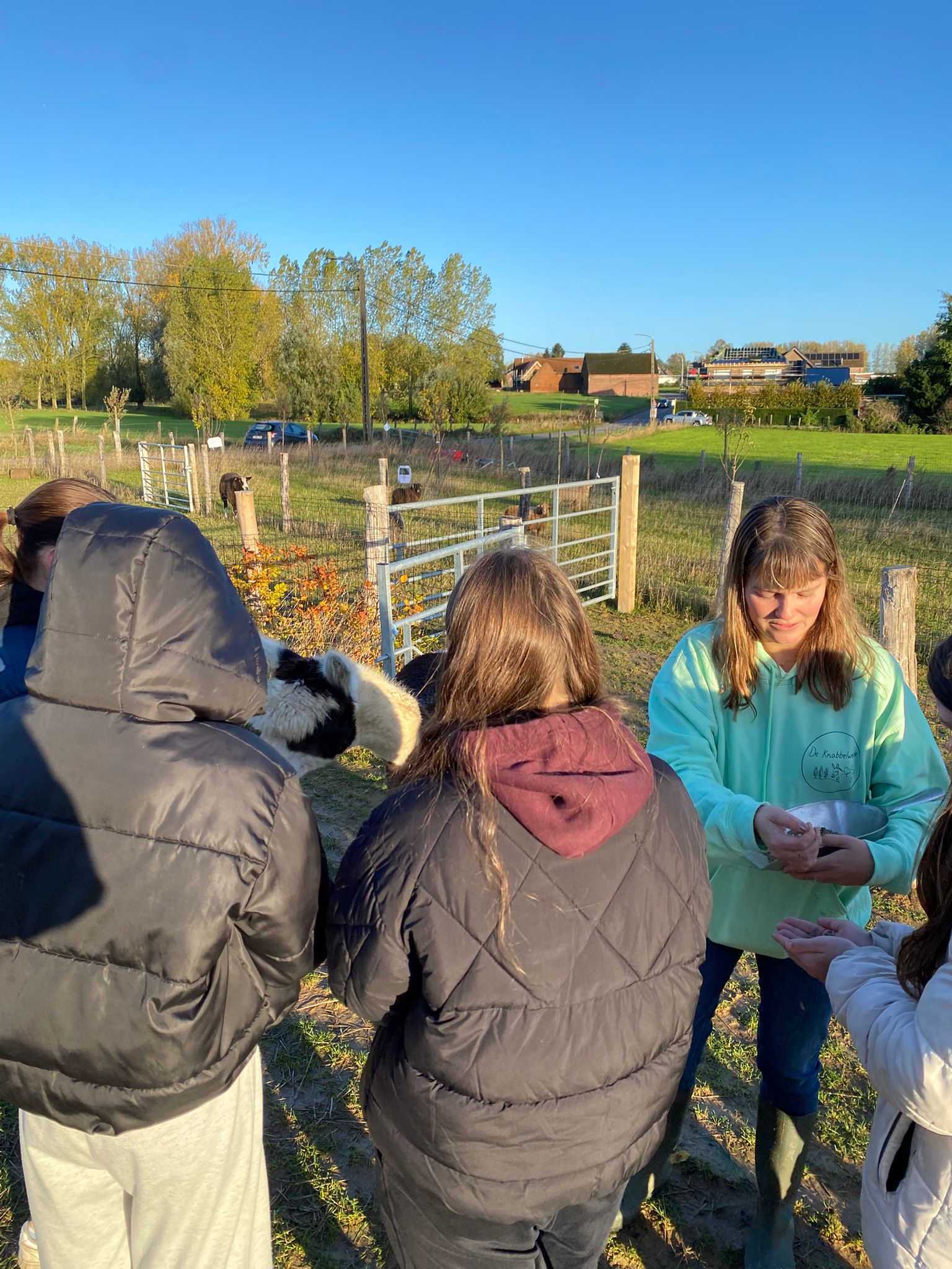 Geen fotobeschrijving beschikbaar.