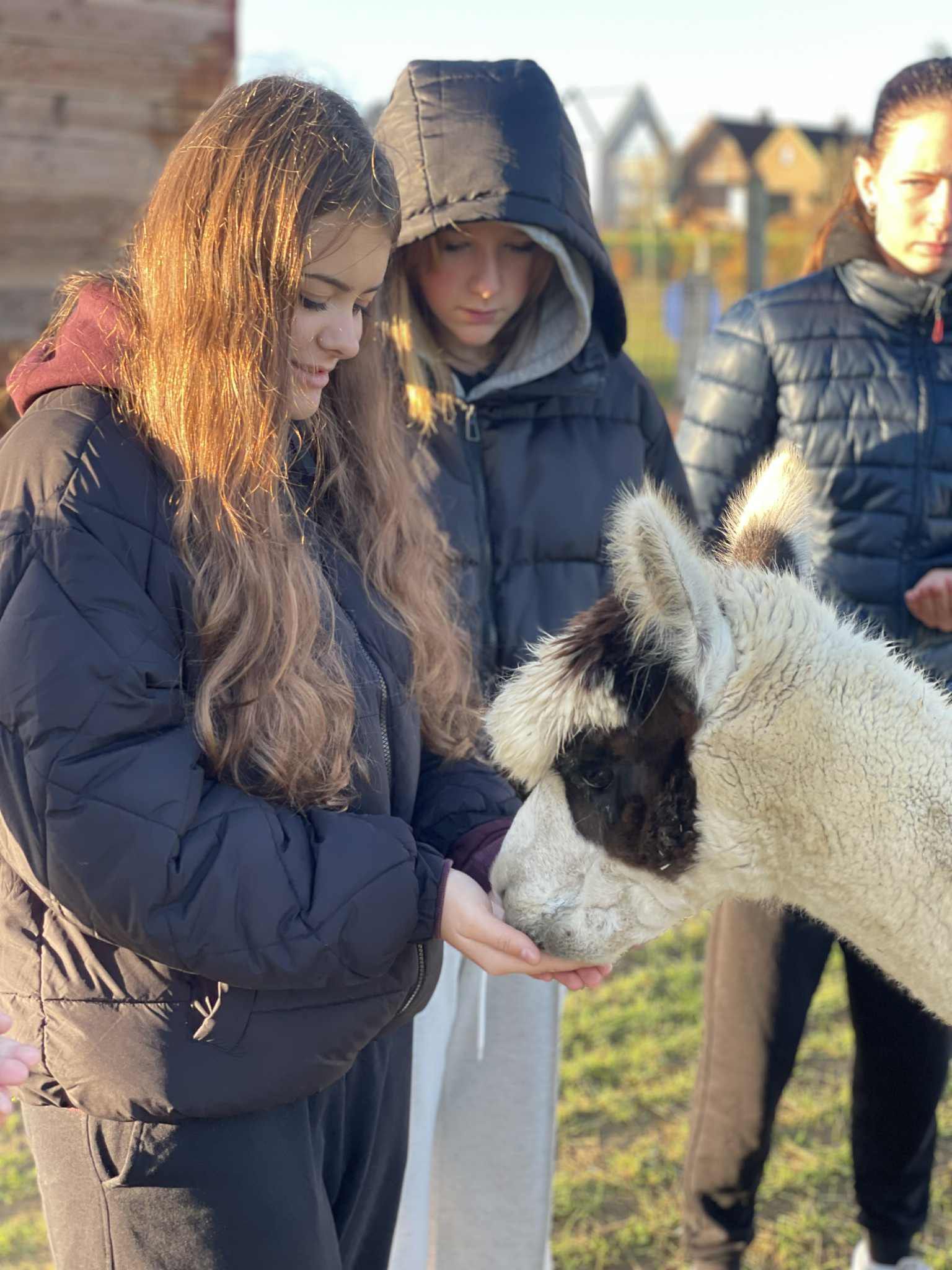 Geen fotobeschrijving beschikbaar.