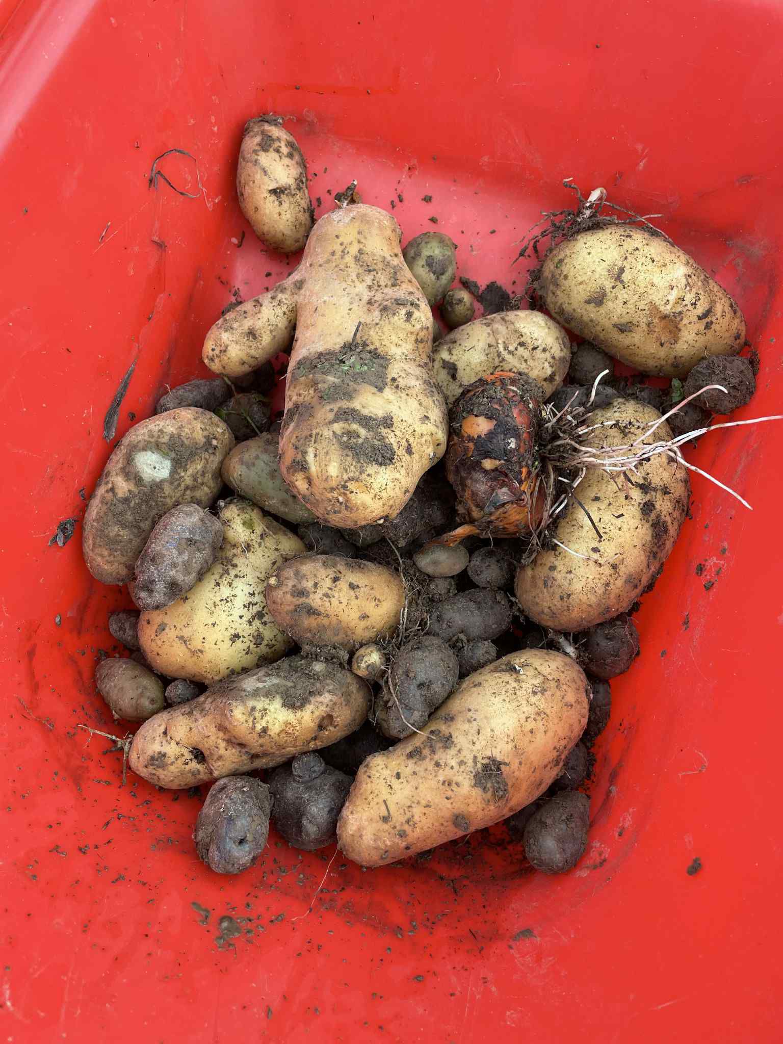 Geen fotobeschrijving beschikbaar.